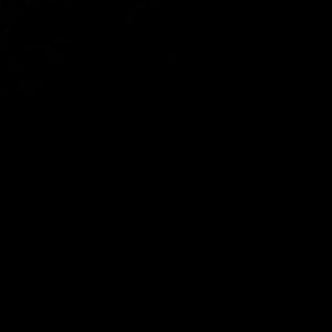 Meet your Posher, Stryder